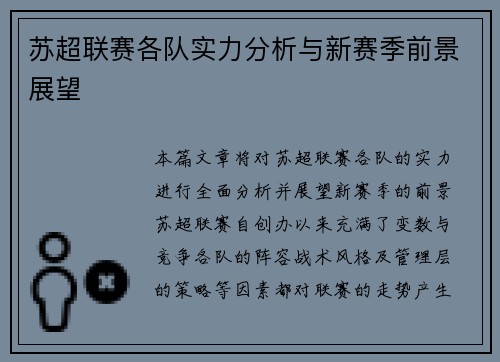 苏超联赛各队实力分析与新赛季前景展望