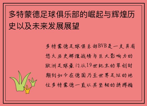 多特蒙德足球俱乐部的崛起与辉煌历史以及未来发展展望