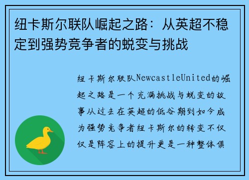 纽卡斯尔联队崛起之路：从英超不稳定到强势竞争者的蜕变与挑战