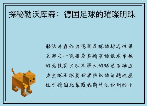 探秘勒沃库森：德国足球的璀璨明珠