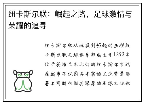 纽卡斯尔联：崛起之路，足球激情与荣耀的追寻